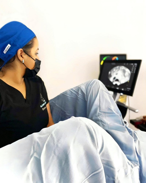 Slider image (3) Dra. Lissant De Los Santos Cordero